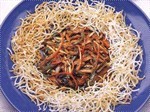 绿柳垂丝