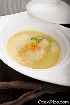 贡淡鱼翅