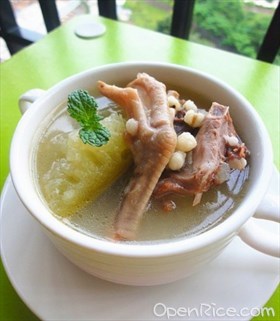 老鸭冬瓜汤