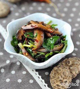 红油茶花菇