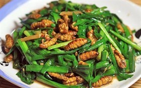 韭菜炒蚕蛹