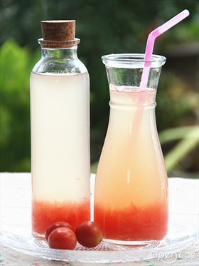 西柚龙井蜜茶