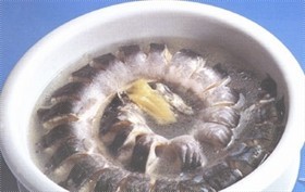清炖白鳝汤