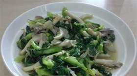 蘑菇青菜