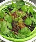 芪蒸鹌鹑
