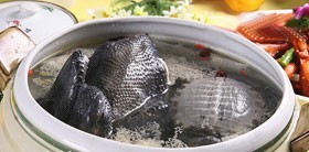 乌鸡甲鱼汤