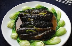 葱炒海参