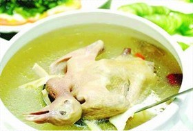 清炖鸽子汤
