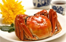 阳澄湖大闸蟹清蒸美味