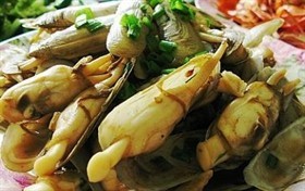 凉拌蛏子