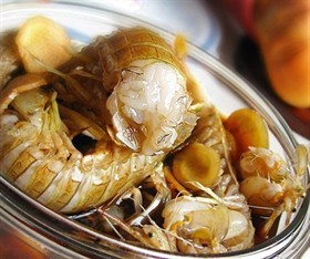 醉虾爬子