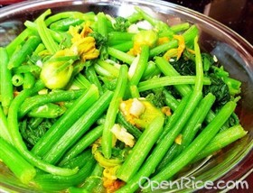 清炒南瓜苗 