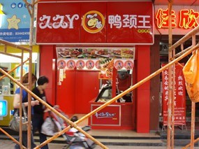 久久丫鸭颈王