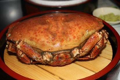 面包蟹