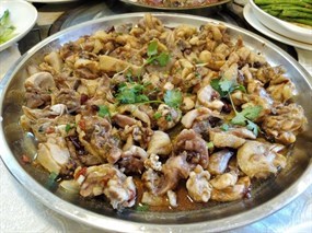 和田农庄