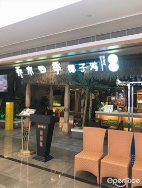 乔木四季椰子鸡