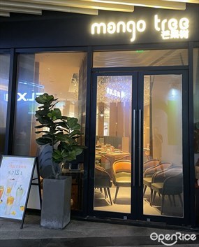 mango tree芒果树