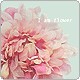 ┌魚～à◎