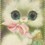 猫猫小公主