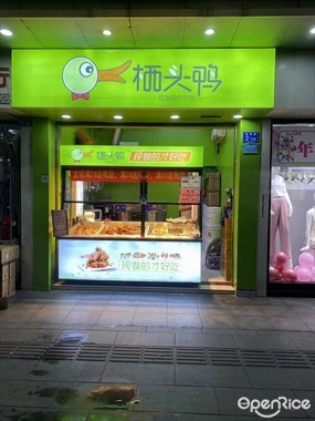 栖头鸭
