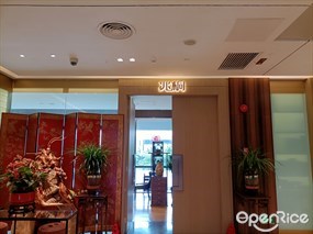 兆桐