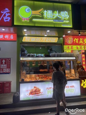 栖头鸭