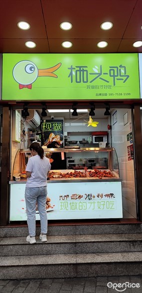 栖头鸭