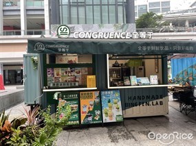 CONGRUENCE全等于