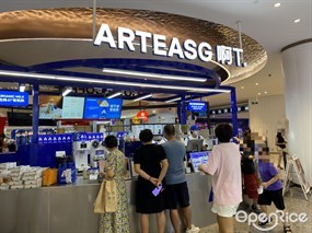 ARTEASG啊T