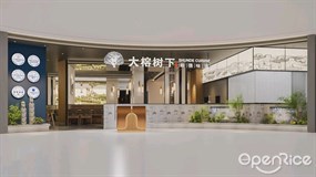 大榕树下