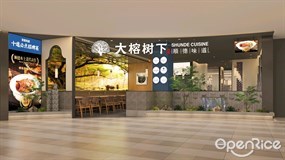 大榕树下