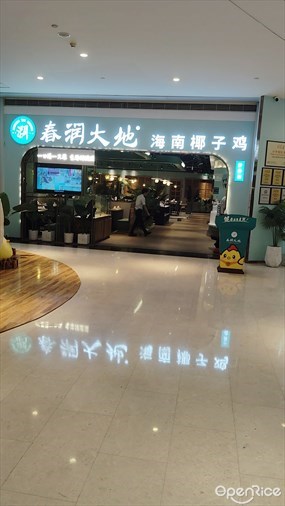春润大地海南椰子鸡