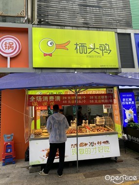 栖头鸭
