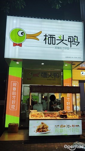 栖头鸭