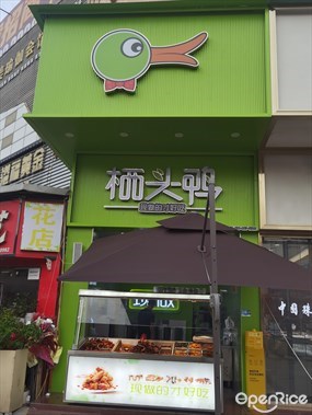 栖头鸭