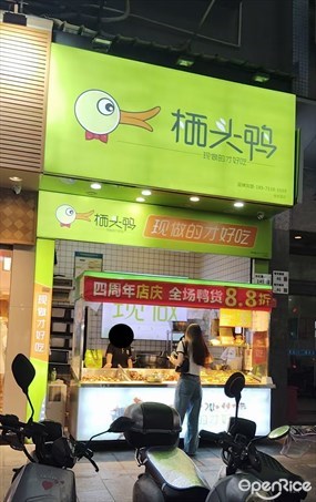 栖头鸭