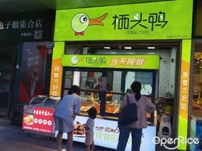 栖头鸭