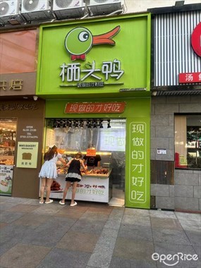 栖头鸭