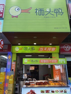 栖头鸭