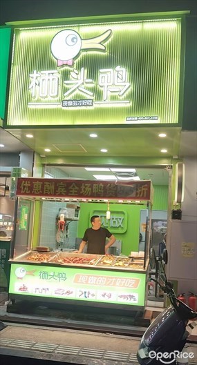 栖头鸭