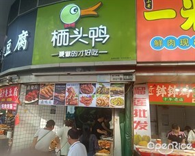 栖头鸭