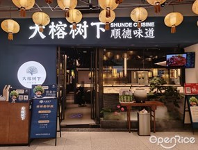 大榕树下