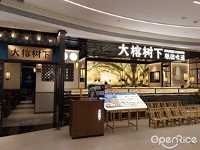 大榕树下