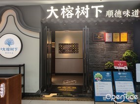 大榕树下