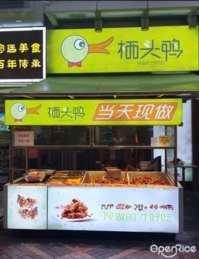 栖头鸭