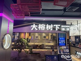大榕树下