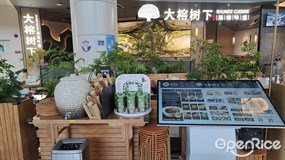 大榕树下