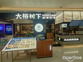 大榕树下