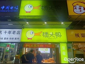 栖头鸭