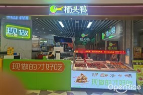 栖头鸭